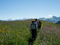 22_Glaubenbielen-Sattelpass