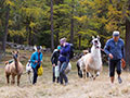 SAC Lama-Trekking 2016